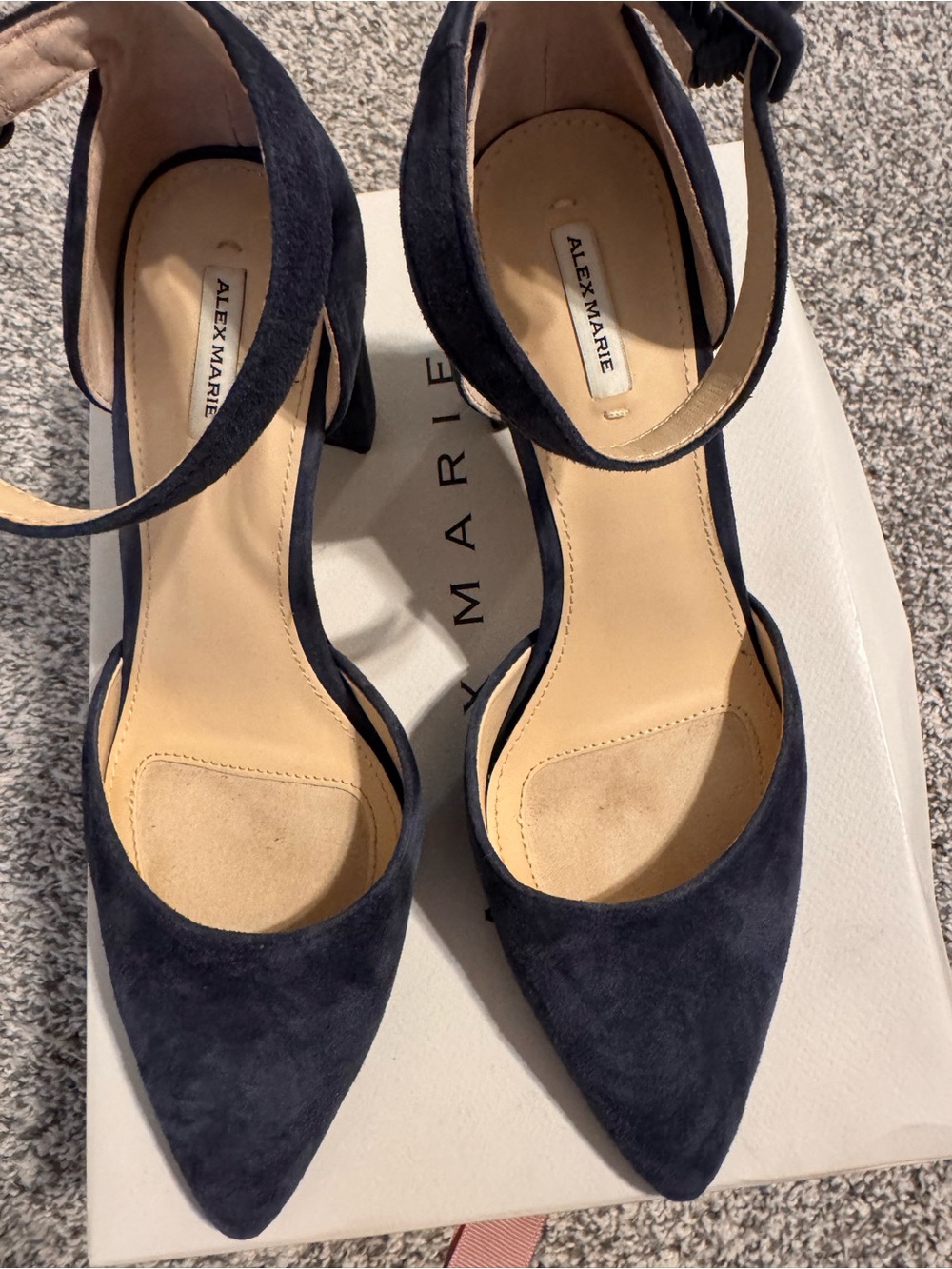 Alex Marie Navy Suede Pointed Toe Ankle Strap Heels